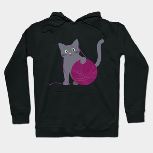 Winter Cat Hoodie